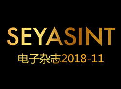 SEYASINT電子雜志2018-11